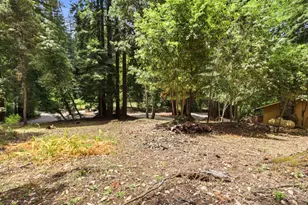 1270 Quarry Rd, Felton, CA 95018 - Photo 53