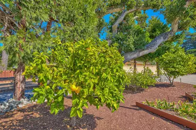 1239 Josselyn Canyon Rd, Monterey, CA 93940 - Photo 27