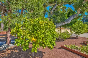 1239 Josselyn Canyon Rd, Monterey, CA 93940 - Photo 27