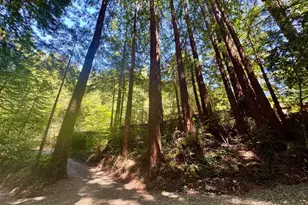 14251 Pescadero Creek Rd 4, La Honda, CA 94020 - Photo 45