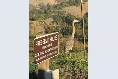 14251 Pescadero Creek Rd 4, La Honda, CA 94020 - Photo 39