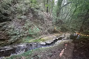 14251 Pescadero Creek Rd 4, La Honda, CA 94020 - Photo 25