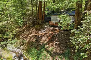 14251 Pescadero Creek Rd 4, La Honda, CA 94020 - Photo 15