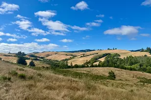 14251 Pescadero Creek Rd 4, La Honda, CA 94020 - Photo 37