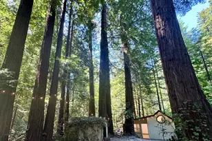 14251 Pescadero Creek Rd 4, La Honda, CA 94020 - Photo 37