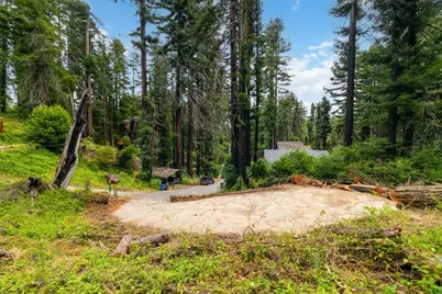 1131 Rambling Rd, Boulder Creek, CA 95006 - Photo 3