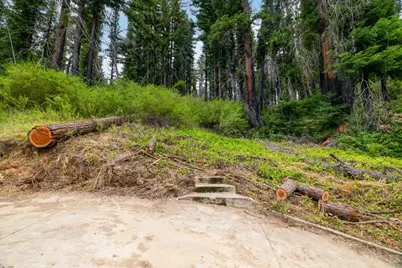 1131 Rambling Rd, Boulder Creek, CA 95006 - Photo 11