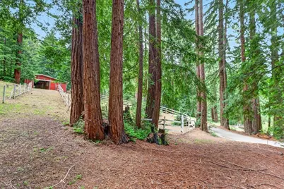 450 Stellar Way, Boulder Creek, CA 95006 - Photo 65