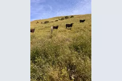 0-1 Little Merrill Rd, San Juan Bautista, CA 95045 - Photo 21