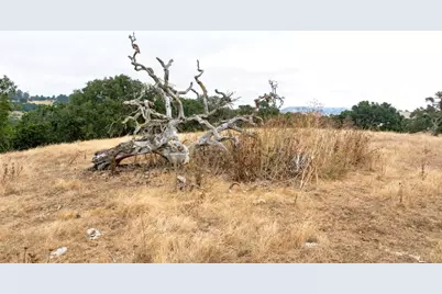 0-1 Little Merrill Rd, San Juan Bautista, CA 95045 - Photo 17