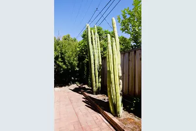 1714 Lobelia Ln, San Jose, CA 95124 - Photo 39