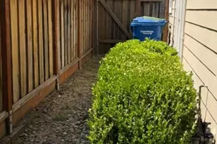 15 Windward Pl, Scotts Valley, CA 95066 - Photo 15