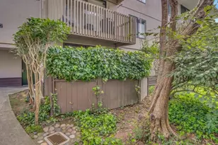 7109 Shelter Creek Ln, San Bruno, CA 94066 - Photo 21
