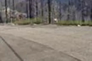 5406 Wooded Glen Dr, Grizzly Flats, CA 95636 - Photo 1