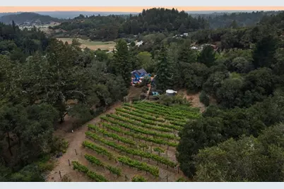 359 Canham Rd, Scotts Valley, CA 95066 - Photo 9