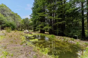 900 Larsen Rd, Aptos, CA 95003 - Photo 81