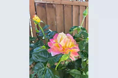 6635 Catamaran St, San Jose, CA 95119 - Photo 13