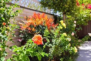 1400 Bowe Ave 1401, Santa Clara, CA 95051 - Photo 31