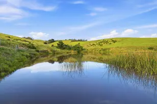 560 Stage Rd, Pescadero, CA 94060 - Photo 17