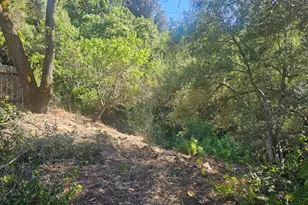 1527 Pleasant Hill Rd, Lafayette, CA 94549 - Photo 25