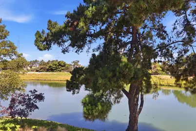425 Anchor Rd 209, San Mateo, CA 94404 - Photo 25