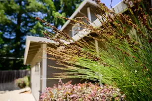 240 Bobs Ln, Scotts Valley, CA 95066 - Photo 99