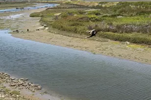73 Pelican Point, Watsonville, CA 95076 - Photo 25