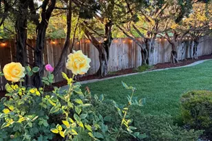 737 Ensign Way, Palo Alto, CA 94303 - Photo 35