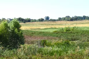 Holland Tract Rd, Knightsen, CA 94548 - Photo 1