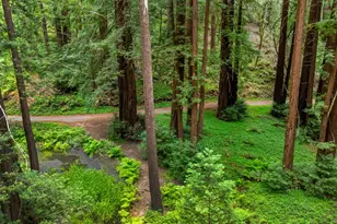 27 Willis Rd, Scotts Valley, CA 95066 - Photo 3