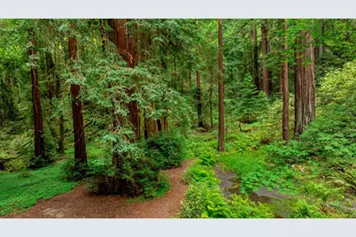 27 Willis Rd, Scotts Valley, CA 95066 - Photo 7