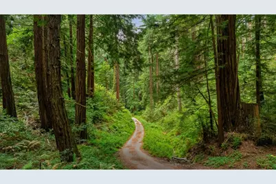27 Willis Rd, Scotts Valley, CA 95066 - Photo 7