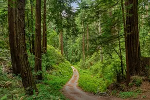 27 Willis Rd, Scotts Valley, CA 95066 - Photo 7