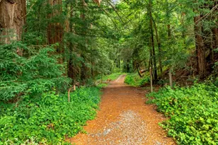 27 Willis Rd, Scotts Valley, CA 95066 - Photo 5