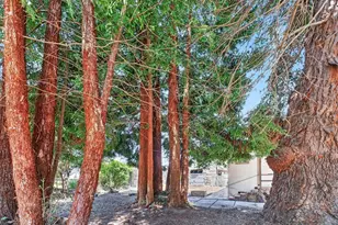82 Doering Ln, Watsonville, CA 95076 - Photo 45