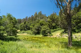 3554 Paul Sweet Rd, Santa Cruz, CA 95065 - Photo 9