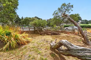 304 Stuart Avenue, Pacific Grove, CA 93950 - Photo 25