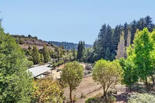 505 Alfadel Ln, Soquel, CA 95073 - Photo 69