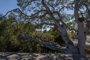 1034 Matador Rd, Pebble Beach, CA 93953 - Photo 17
