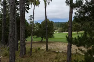 3167 Stevenson Dr, Pebble Beach, CA 93953 - Photo 3
