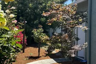 315 Landeros Dr, Santa Clara, CA 95051 - Photo 19