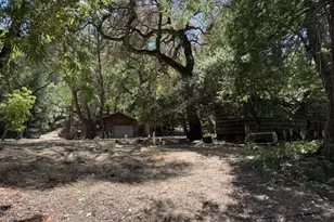 245 Bonita Rd, Portola Valley, CA 94028 - Photo 9