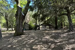 245 Bonita Rd, Portola Valley, CA 94028 - Photo 11