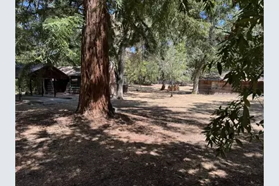 245 Bonita Rd, Portola Valley, CA 94028 - Photo 3