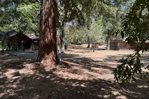 245 Bonita Rd, Portola Valley, CA 94028 - Photo 3
