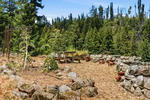 16595 Jamison Creek Rd, Boulder Creek, CA 95006 - Photo 29