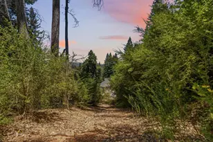 16595 Jamison Creek Rd, Boulder Creek, CA 95006 - Photo 31