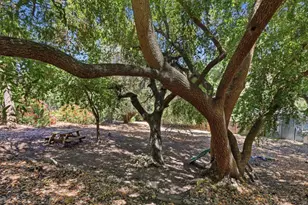 17200 Copper Hill Dr, Morgan Hill, CA 95037 - Photo 55