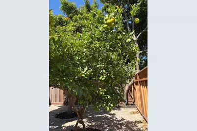 420 Pilgrim Dr, Capitola, CA 95010 - Photo 47