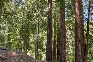 375 Blair Ranch Rd, Scotts Valley, CA 95066 - Photo 43